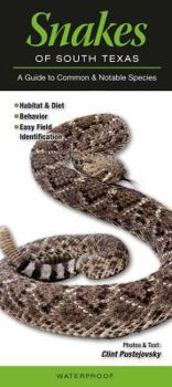 Pamphlet Snakes of South Texas: A Guide to Common & Notable Species Book
