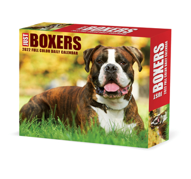 Calendar Boxers 2022 Box Calendar - Dog Breed Daily Desktop Book