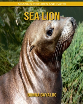 Sea Lion: Amazing Pictures and Facts