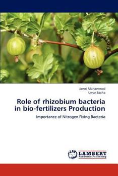 Role of rhizobium bacteria in bio-fertilizers Production