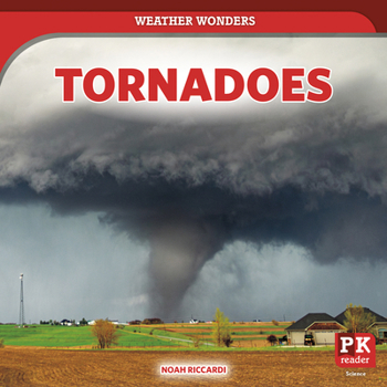 Paperback Tornadoes Book
