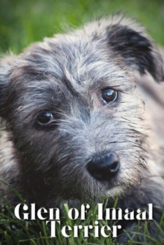 Paperback Glen of Imaal Terrier: Dog breed overview and guide Book