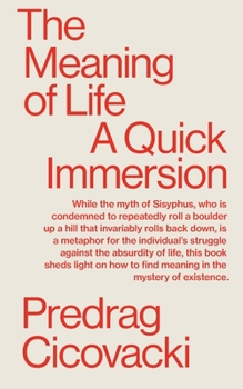 Paperback The Meaning of Life: A Quick Immersion Book