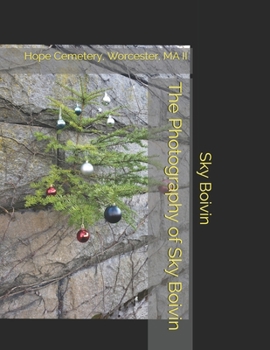 The Photography of Sky Boivin: Hope Cemetery, Worcester, MA II