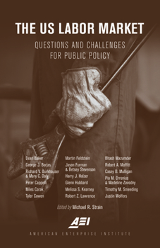 Hardcover The Us Labor Market: Questions and Challenges for Public Policy Book