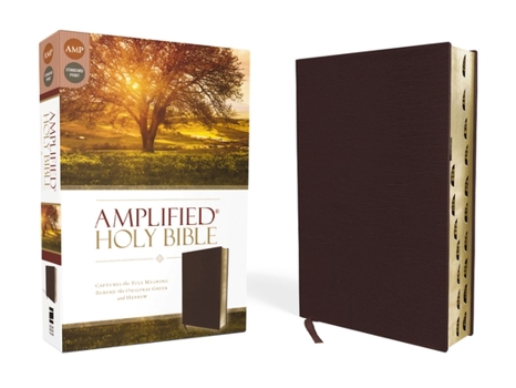 Bonded Leather Amplified-Am: Captures the Full Meaning Behind the Original Greek and Hebrew Book