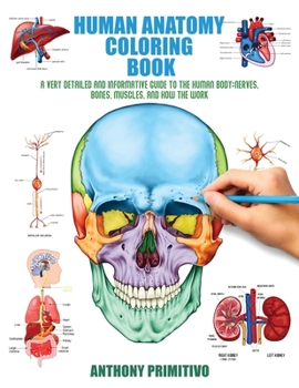 Paperback Human Anatomy Coloring Book: A Very Detailed and Informative Guide to the Human Body: Nerves, Bones, Muscles, and How to the Work Book