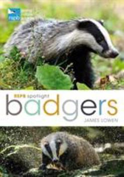 Paperback Rspb Spotlight: Badgers Book