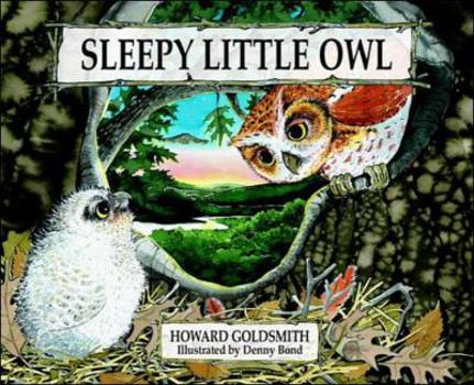 Hardcover Sleepy Little Owl Book