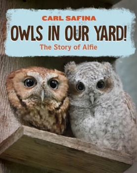 Hardcover Owls in Our Yard!: The Story of Alfie Book