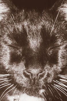 Joy Notes:  Black Cat Selfie: Lined Paper 120 Pages - 6 x 9 inches in Size : Notebook, Journal, Diary, Notepad, Diary, Organizer