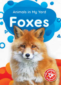 Paperback Foxes Book