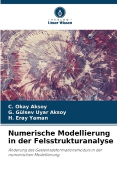 Paperback Numerische Modellierung in der Felsstrukturanalyse [German] Book