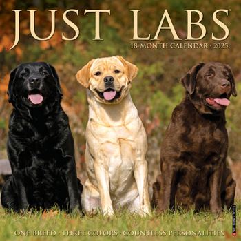 Calendar Just Labs 2025 12 X 12 Wall Calendar Book
