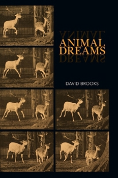 Animal Dreams