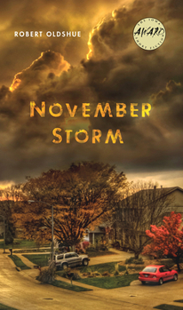 Paperback November Storm Book