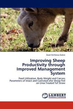 Paperback Improving Sheep Productivity Through Improved Management System Book