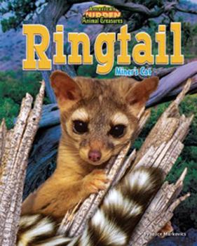 Library Binding Ringtail: Miner's Cat Book