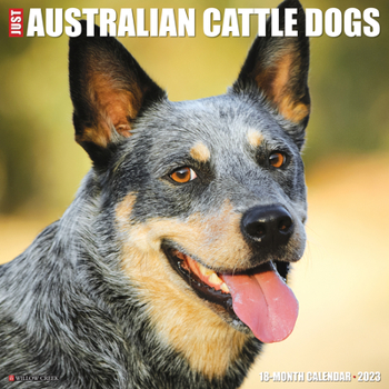 Calendar Just Australian Cattle Dogs 2023 Wall Calendar Book