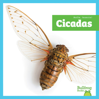Paperback Cicadas Book