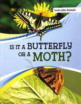 Paperback Is It a Butterfly or a Moth? (Look-Alike Animals) Book