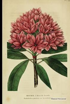 Botanical Print Journal : Rhododendron Ponticum Hyacinthiflorum, 6 X 9 Vintage Botanical Flower Print Journal - [Lined Journal]