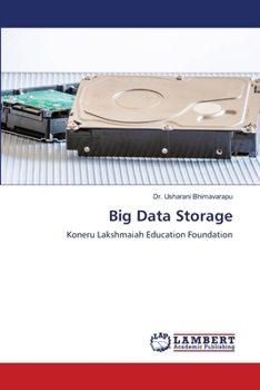 Big Data Storage