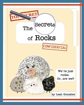 Paperback The Secrets of Rocks Book