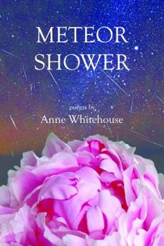 Paperback Meteor Shower Book