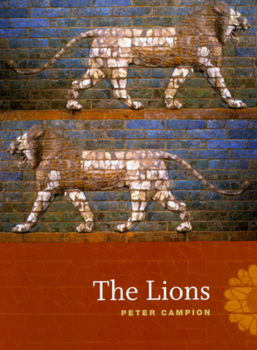 Paperback The Lions Book