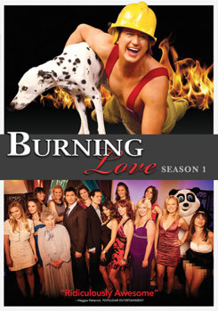 DVD Burning Love: Season 1 Book
