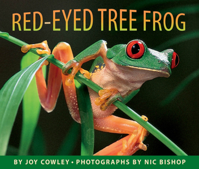 Hardcover Red-Eyed Tree Frog Book
