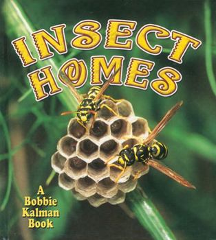 Insect Homes