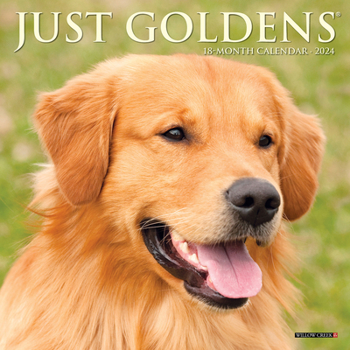 Calendar Just Goldens 2024 7 X 7 Mini Wall Calendar Book