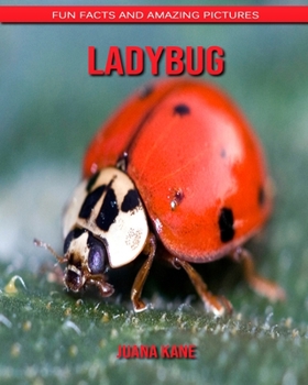Ladybug: Fun Facts and Amazing Pictures