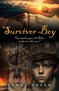 Paperback Survivor Boy Book