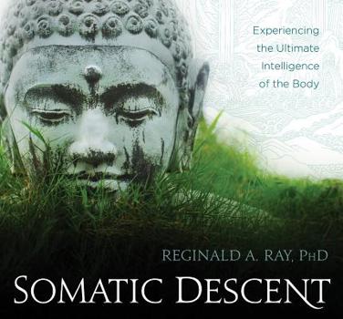 Audio CD Somatic Descent: Experiencing the Ultimate Intelligence of the Body Book