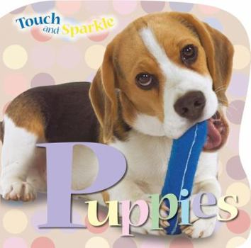 Board book Touch and Sparkle Puppies Book