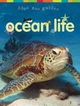 Hardcover Ocean Life Book