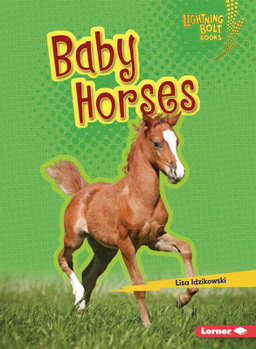 Paperback Baby Horses Book