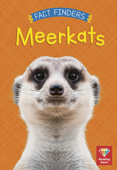 Library Binding Meerkats Book