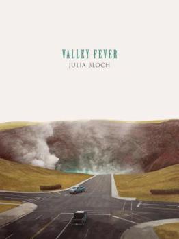 Paperback Valley Fever Book