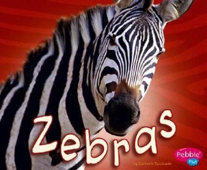 Hardcover Zebras Book