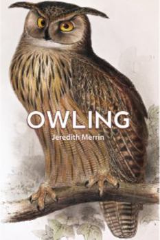 Paperback Owling Book