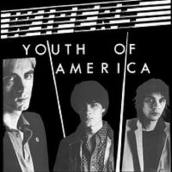 Vinyl Youth Of America Book