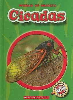 Cicadas - Book  of the World of Insects