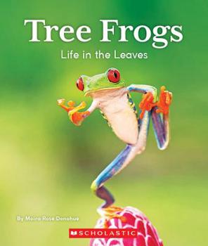 Paperback Tree Frogs: Life in the Leaves (Nature's Children) Book