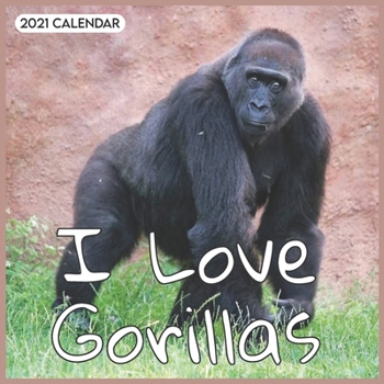 I Love Gorillas: 2021 Wall & Office Calendar, 16 Month Calendar