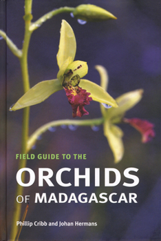 Hardcover The Field Guide to the Orchids of Madagascar Book