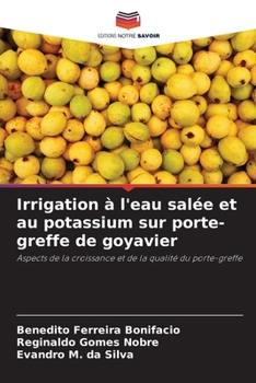 Paperback Irrigation à l'eau salée et au potassium sur porte-greffe de goyavier [French] Book